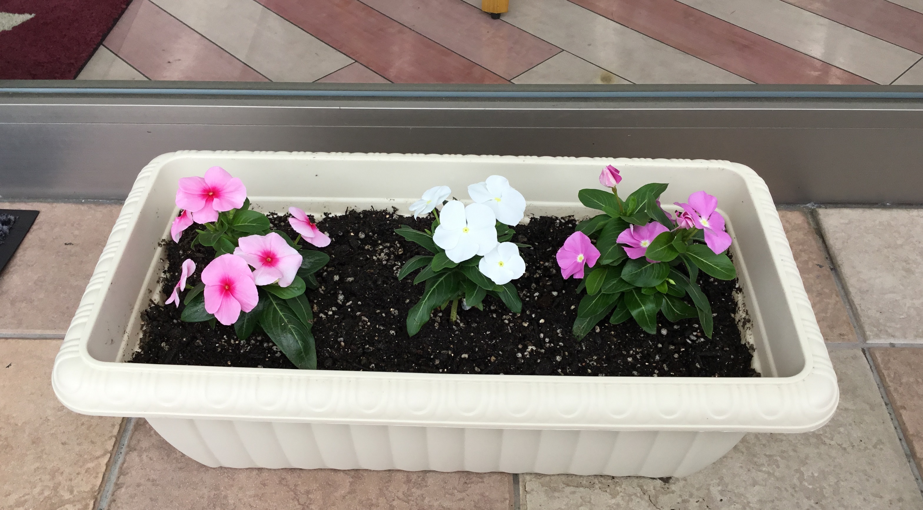 ふらわ 三重ダイハツ販売株式会社