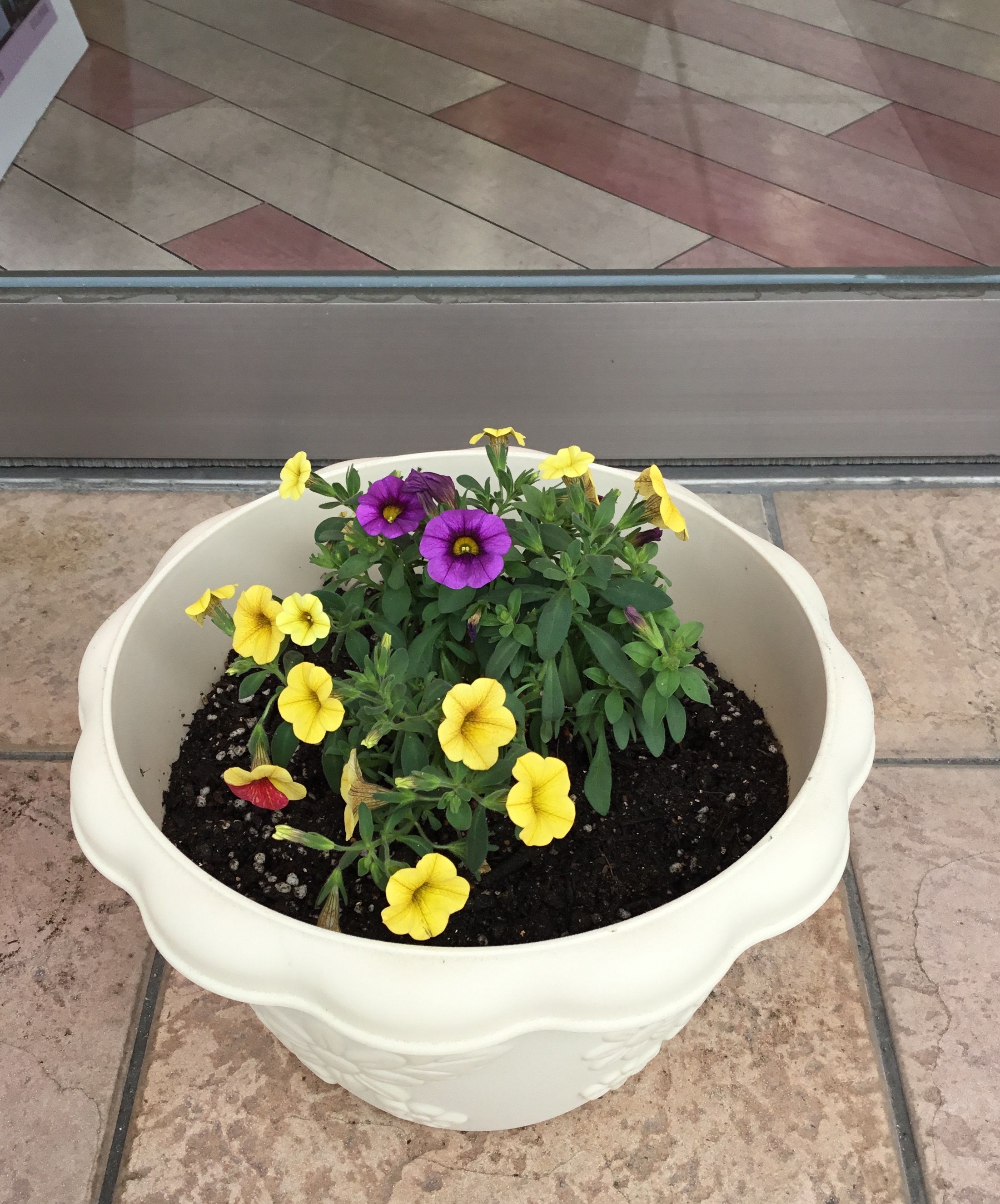 ふらわ 三重ダイハツ販売株式会社